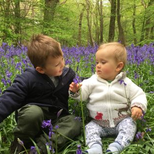 Days Out With Toddlers Sussex